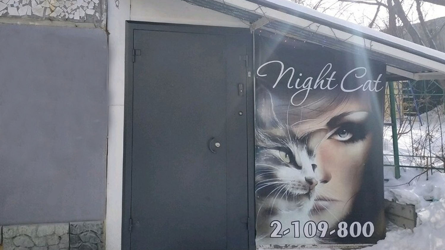 Бордель “Night Cat” ныне “Gold Fox” работает в подвале без документов