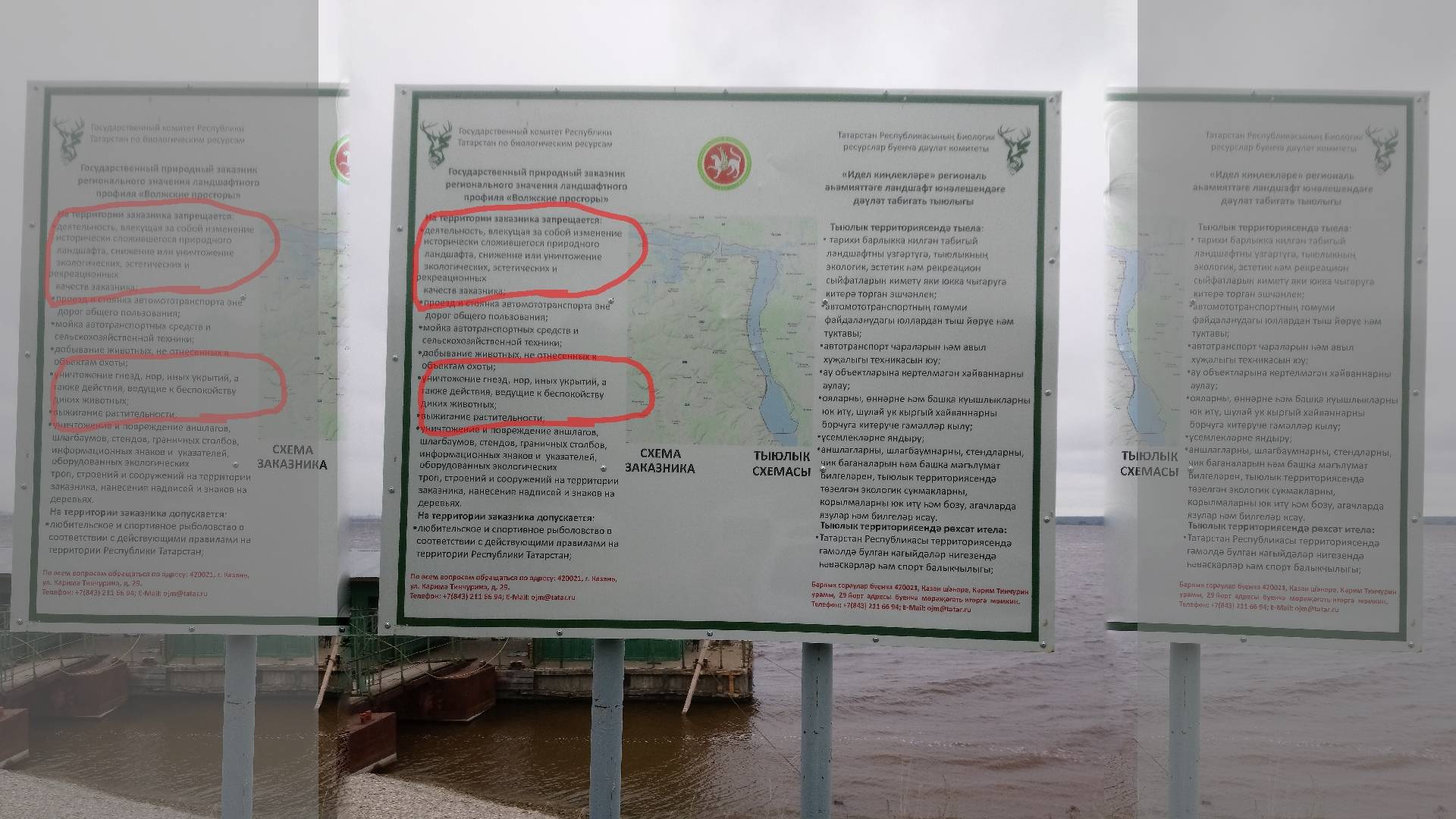 Застройка государственного природного заказника регионального значения в Татарстане