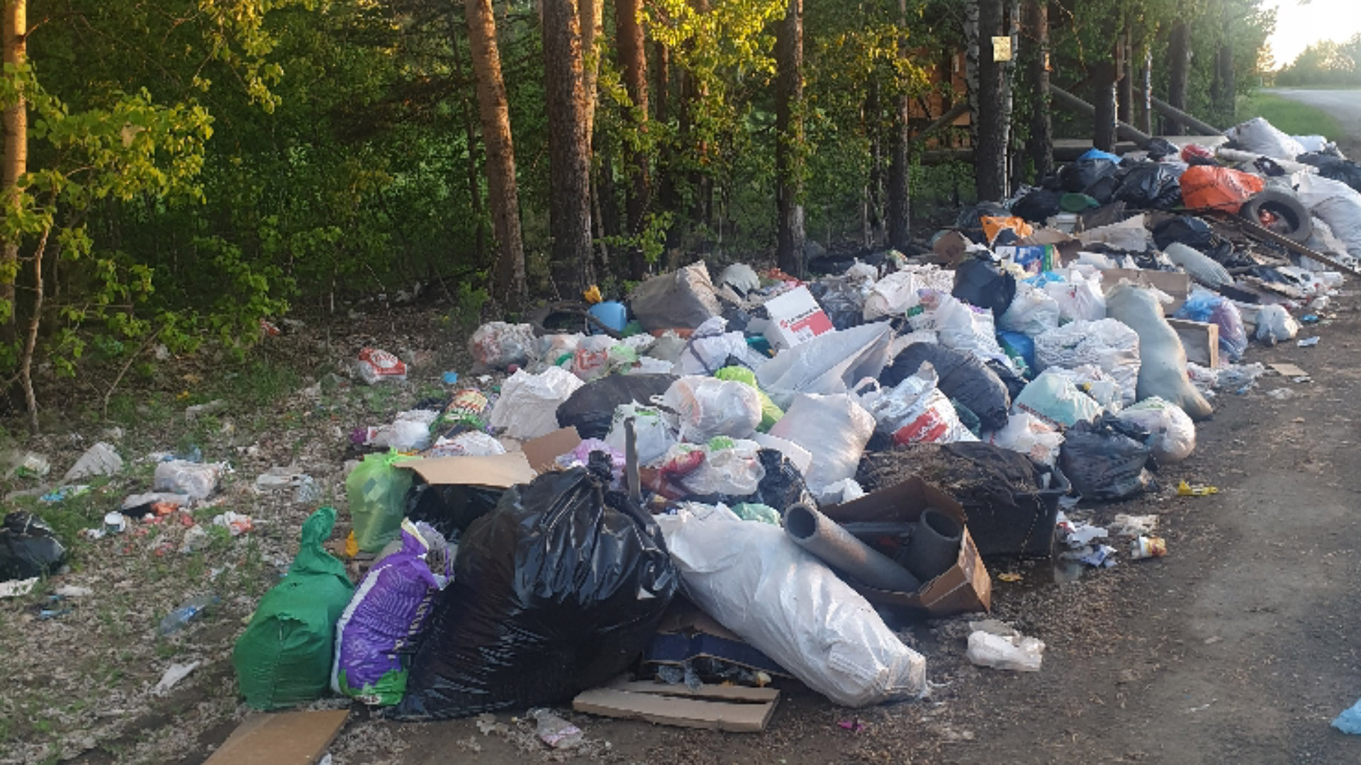 Незаконная свалка мусора под Екатеринбургом