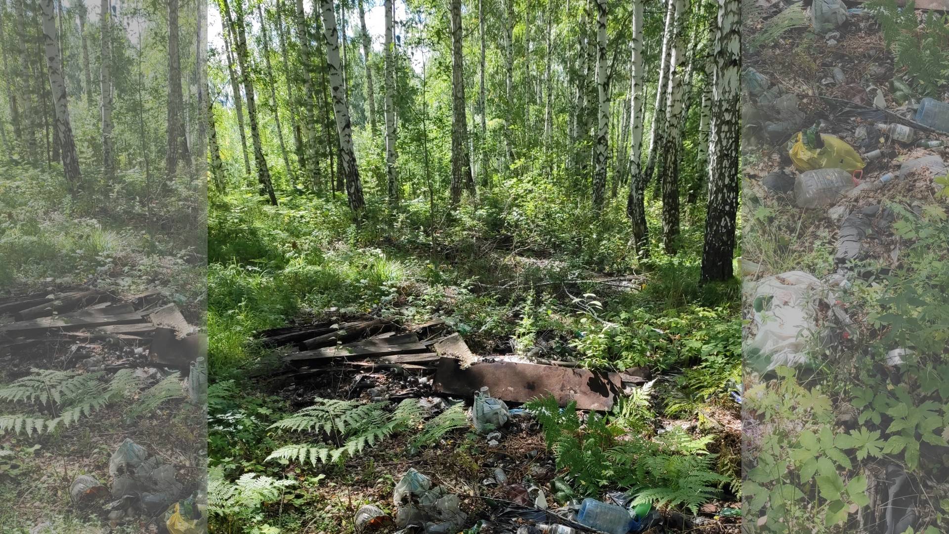 Многолетние свалки в лесу в Дегтярске
