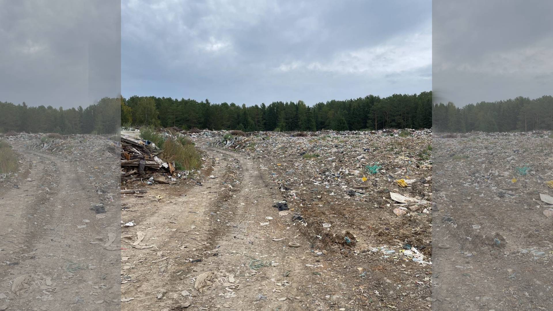 Полукилометровая свалка мусора в Новоуральском ГО