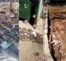 Некачественная уборка места сбора коммунальных отходов на Парниковой