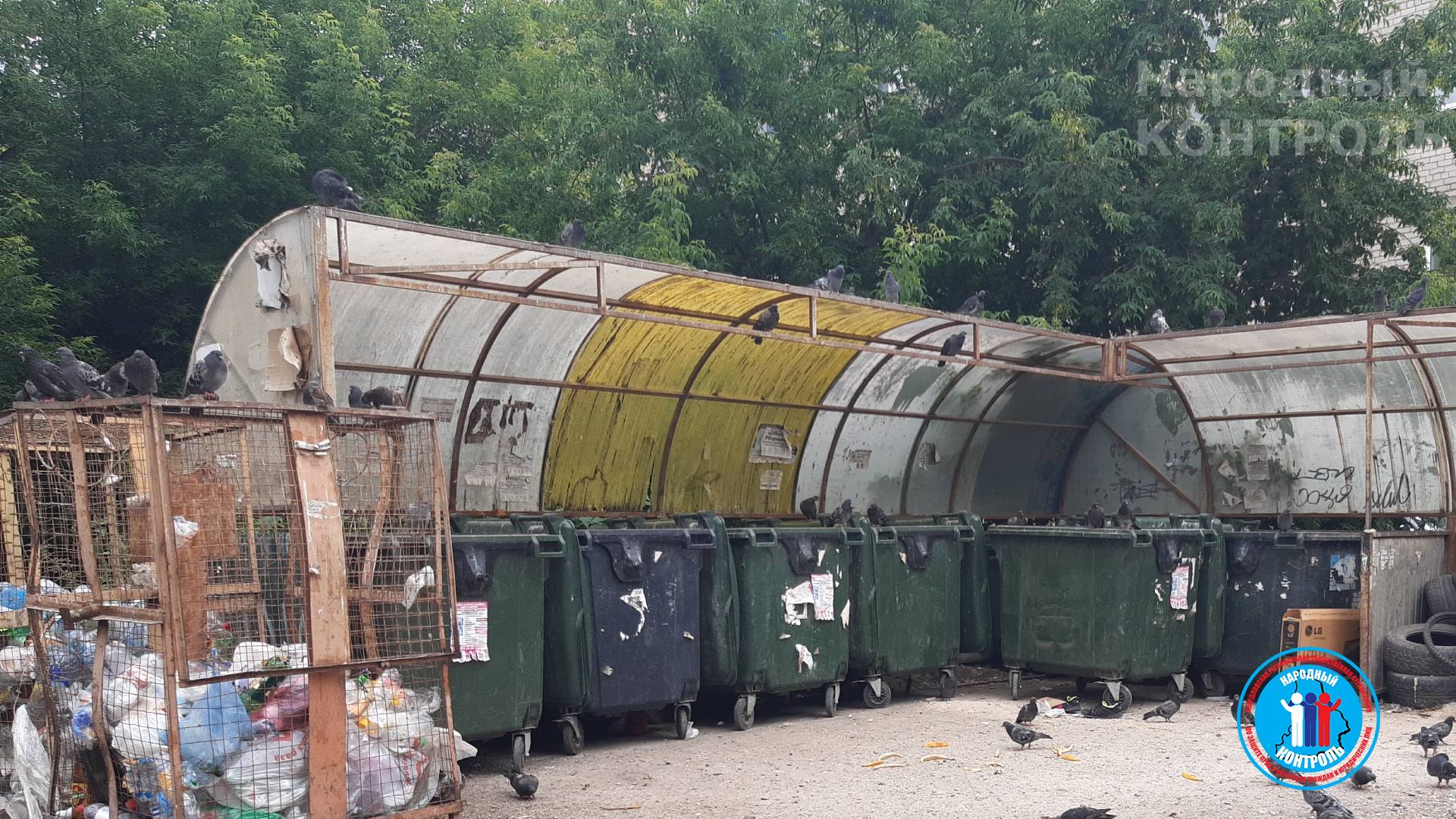 Неудовлетворительное состояние мусорных контейнеров приводит к появлению толп крыс