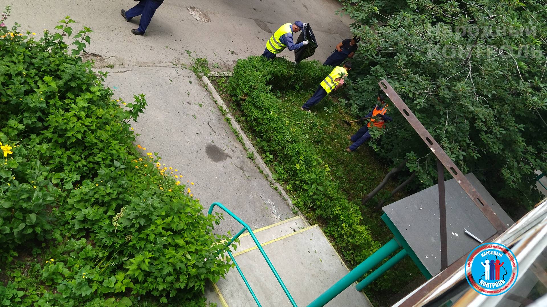 Стрижка кустов и газона проводится только под окнами сотрудника Чкаловской Администрации