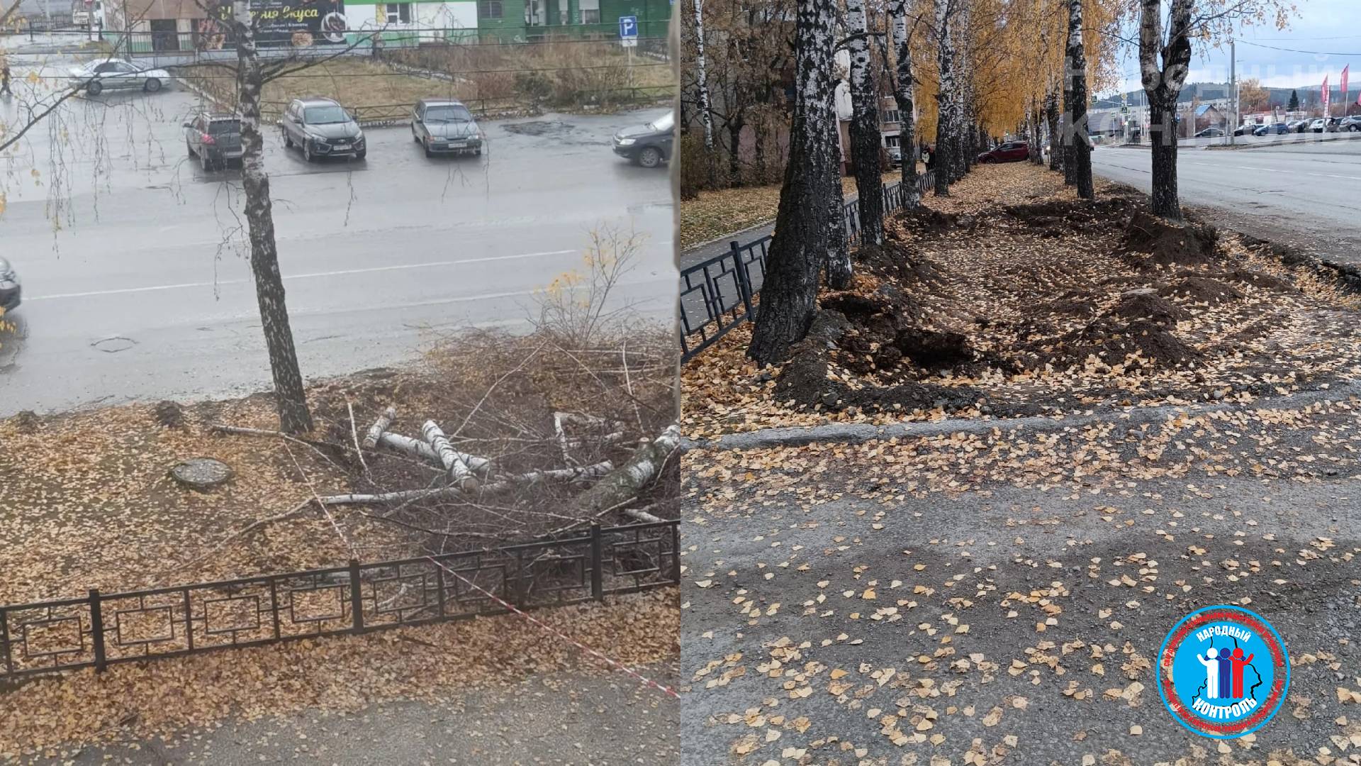 Жителей города Ревда беспокоит спил деревьев под парковку